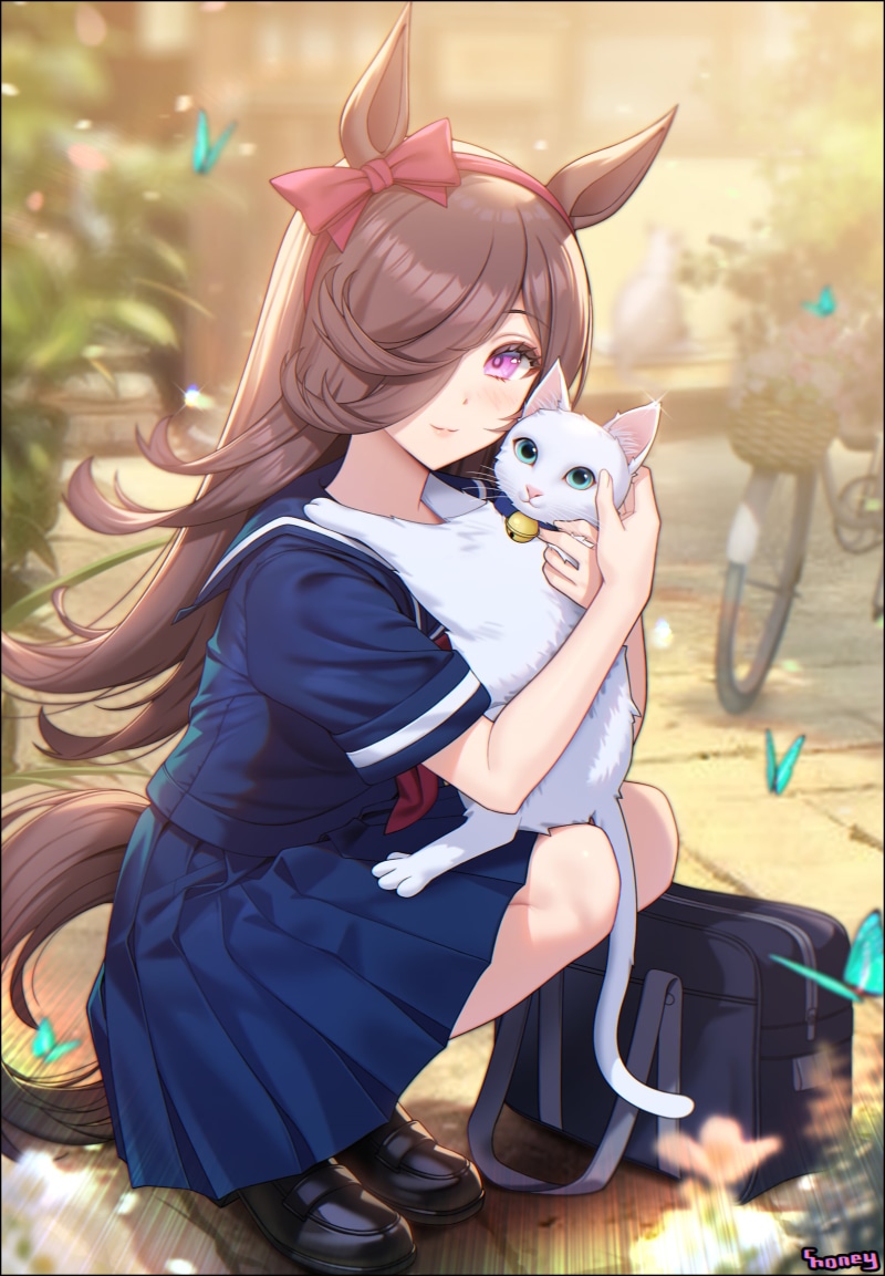 Uma Musume Pretty Derby, 2D, butterflies, depth of field, artwork, thighs, anime girls, looking at viewer, blushing, cats, hair over one eye, squatting