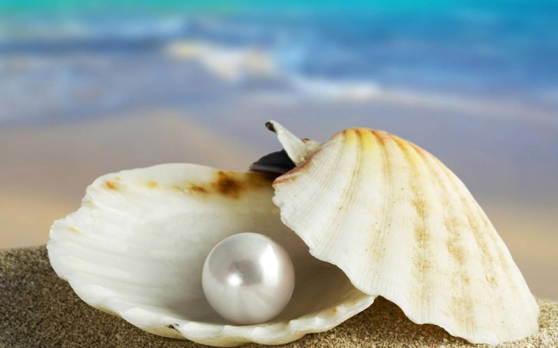 blue, photoshop, sea, white, nice, waves, 1080P, picture, found, sand, shell, nacre, widescreen, pearl, gift, beije