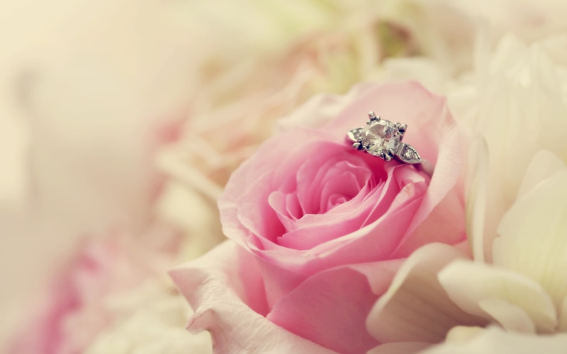 depth of field, photography, wedding, 1080P, field, depth, rose, ring, flowers