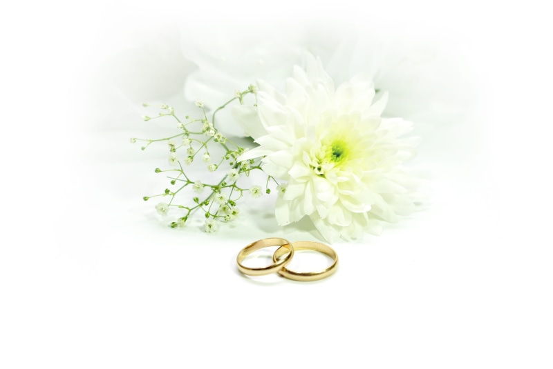 ring, bouquet, before, flowers, deco, bunch of flowers, romance, rings, white background, close-up, wedding rings, flower, marry, no people, wedding, green