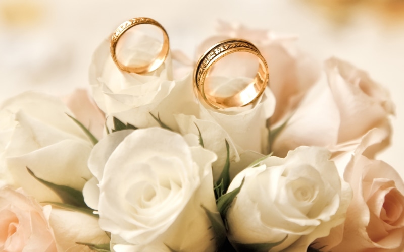 Roses, band, Flower, wedding, 2K, White, Rings, Engagement, gold, Buds