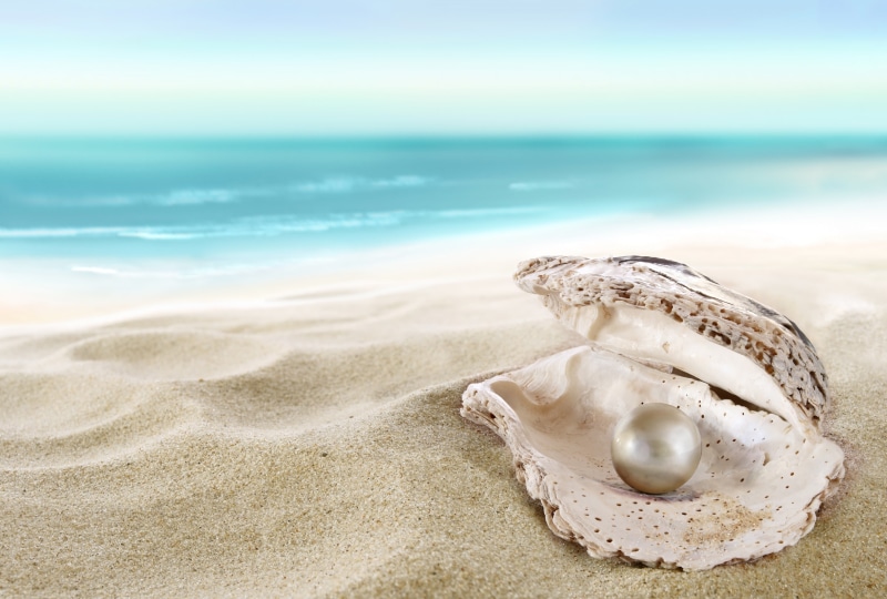 nature, land, pearl, beauty in nature, seashore, perl, outdoors, shell, marine, animal wildlife, sand, horizon, shore, no people, day, horizon over water