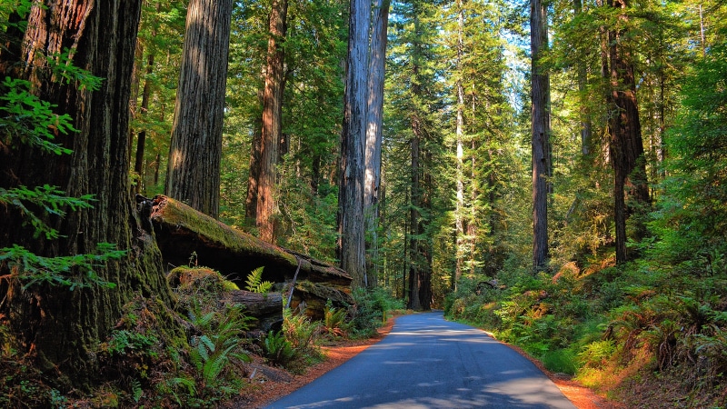 8K, hd desktop  nature  7680x4320