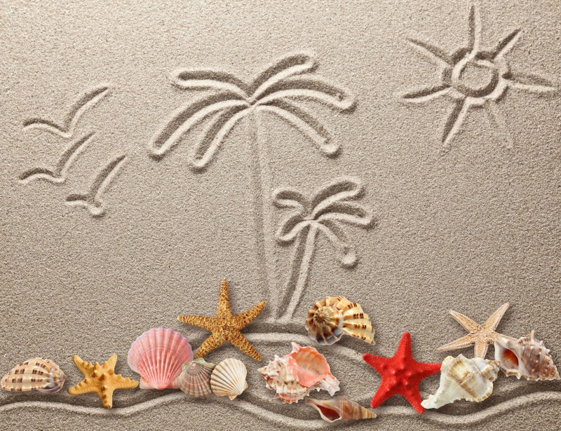 close-up, vacations, star shape, travel Destinations, celebration, copy Space, tropical Climate, beach, nature, holiday, starfish, sand, 4K, shell, animal Shell