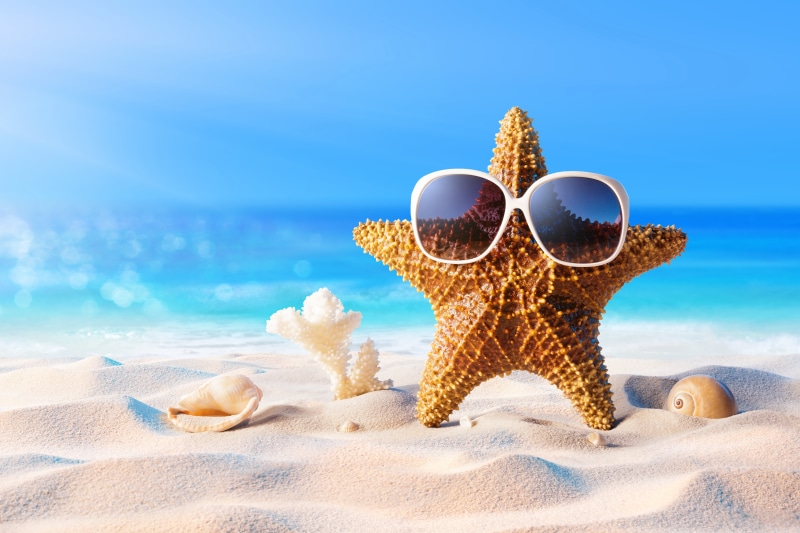 summer, glasses, vacation, beach, star, sunglasses, shell, sea, sand, seashells, starfish, 5K
