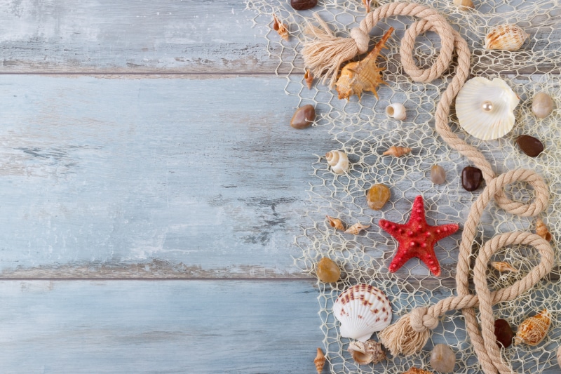 4K, seashells, wood, star, sand, shell, marine, starfish, perl, still life, pearl