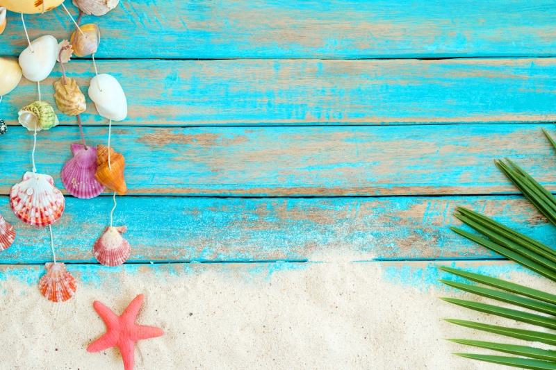 holiday, starfish, seashell, no people, art and craft, star, sand, shell, wood - material, blue, indoors, wood, Board, seashells, decoration, multi colored