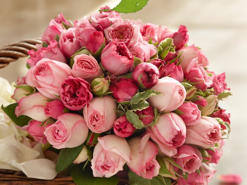 2K, Bouquet, Rose, Beautiful, Pink, Flowers
