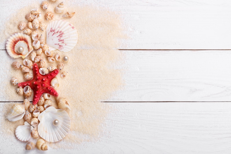 5K, seashells, perl, wood, still life, starfish, star, marine, pearl, sand, shell