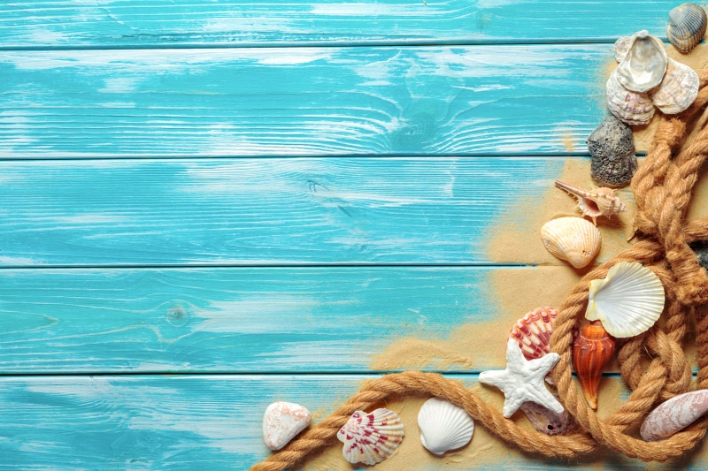 sand, marine, shell, still life, seashells, 5K, wood, beach