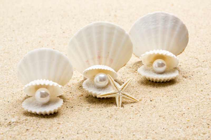 sea, sunshine, seashell, 4K, starfish, beach, shell, sand, pearl