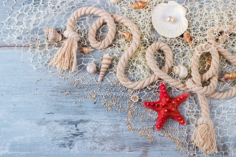 seashells, marine, shell, 5K, perl, sand, starfish, pearl, wood