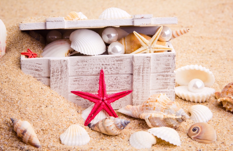pearls, beige, chest, seashells, red, sand, nature, shells, starfish, sea, 4K
