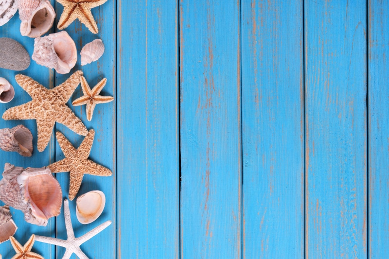 marine, Board, beach, starfish, star, shell, background, seashells, summer, wood, 4K