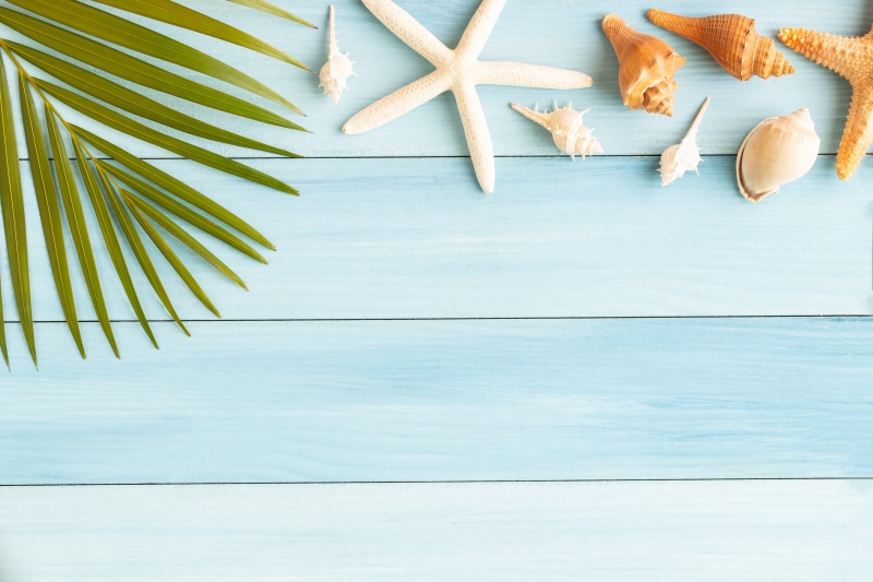 wood, shell, Board, star, beach, summer, starfish, seashells, 5K