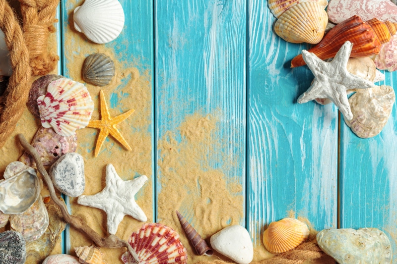 starfish, seashells, 5K, shell, still life, beach, marine, sand, wood