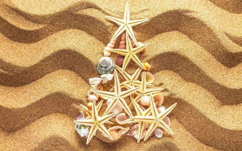 2K, decor, seashell, Tree, Beach, Seashells, Christmas, Starfish, triangular, Sands