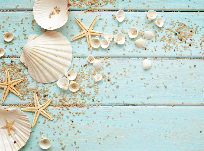 wood - Material, coastline, sea, pebbles, directly above, tourism, tropical Climate, animal Shell, still life, kitchen utensil, decoration, studio shot