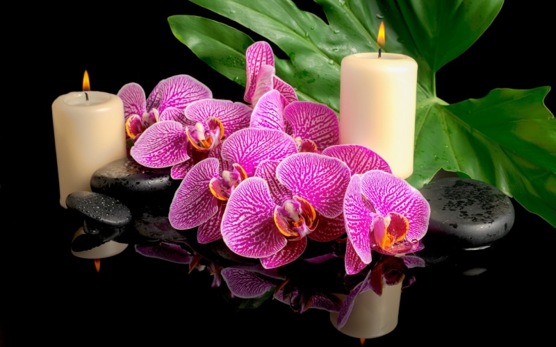 orchid, spa, candles, leaf, drops, 2K, flower, Spa stones
