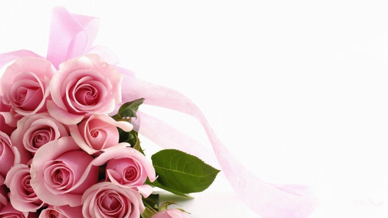 ribbon, bouquet, forever, firefox persona, pink, roses, 1080P, 3d and abstract, pink roses, valentines day