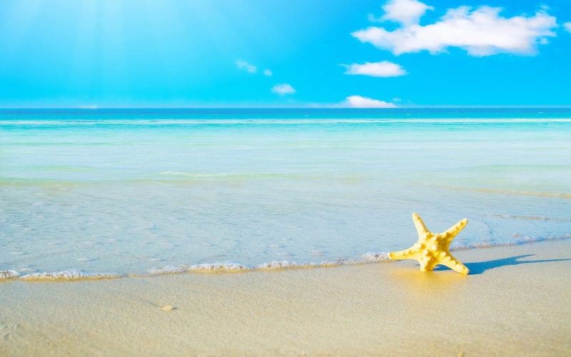 2K, starfish, tourist Resort, outdoors, seascape, nature, sky, sun, backgrounds, scenics - nature, season, idyllic, wave, animal themes, land, sunny, one animal