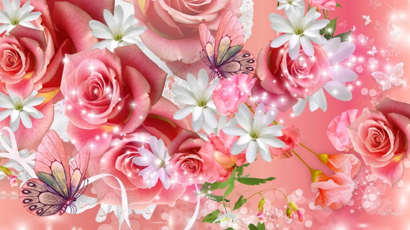 butt, flowers, frangipani, bright, 1080P, fleurs, blossoms, blooms, pink, plumeria, butterflies, papillon, roses, summer