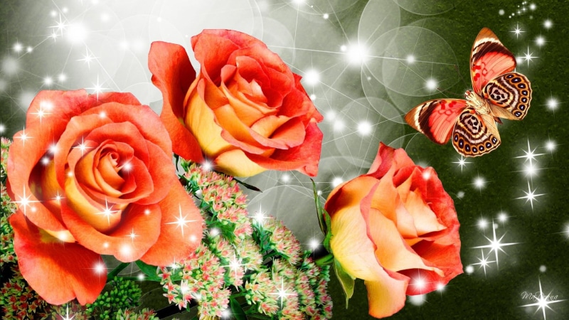 floral, roses, sparkle, 1080P, spring, shine, glitter, rose, fire, butterfly, papillon, fleurs, garden, flowers, orange