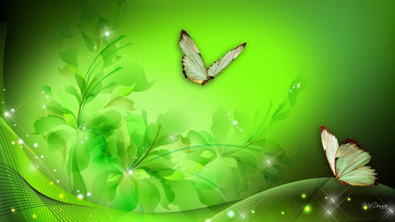 irish, brown, fantasy, fleurs, white, background, flowers, saint patricks day, butterflies, ireland, papillon, 1080P, green, floral, abst