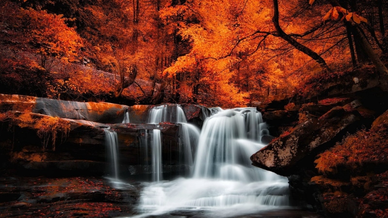 tree, water, leaves, river, autumn, waterfall, nature, deciduous, fall, landscape, stream, 1080P