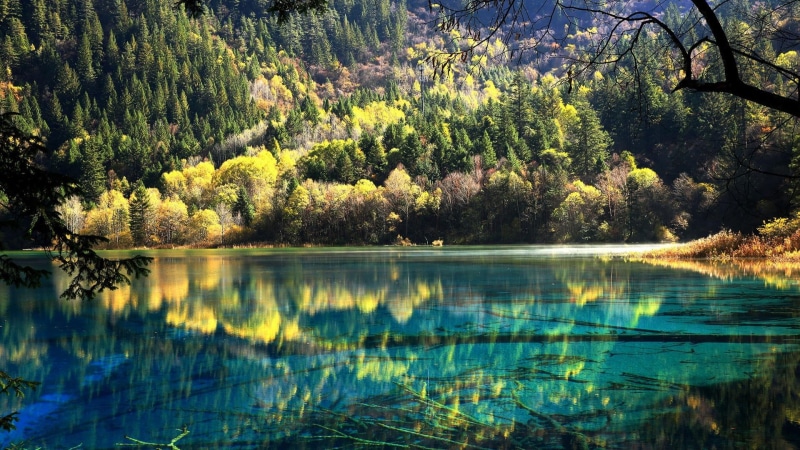sichuan, wilderness, aba, asia, no people, body of water, china, river, plant, land, forest, idyllic, scenics - nature, tree, unesco world heritage, water