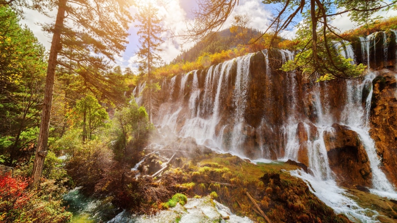 chute, autumn leaves, jiuzhaigou park, vegetation, nature, landscape, autumn, pearl shoal waterfall, watercourse, nature reserve, jiuzhaigou nature reserve