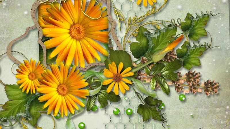 daisies, ribbon, daisy, firefox persona, yellow, wall, buds, flowers, flower, paper, 3d and abstract, 1080P, green, greens