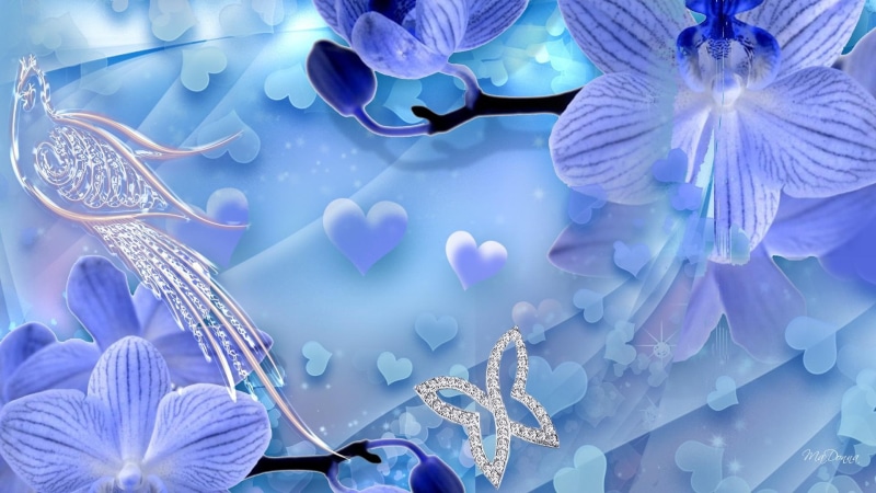 lavender, 1080P, butterflies, brooch, hearts, diamonds, peacock, 3d and abstract, flowers, orchids, jewels, blue