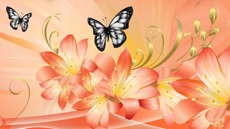 dramatic, butterflies, butterfly, 1080P, orange, lilies, gold swirl, gold leaf, flowers, 3d and a, summer, lily, peach