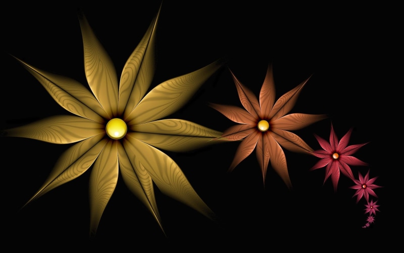 simple, multicolor, black, orange, brown, fractal, gold, flowers, flower, multicolored, 3d and abstract, 1080P