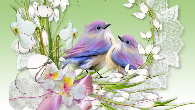 lace, green, flowers, spring, 3d and abstract, 1080P, grass, ribbon, birds