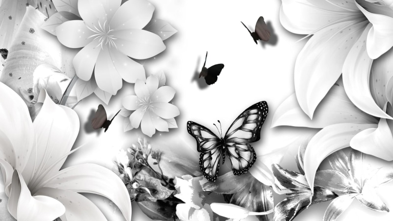 1080P, lilies, flowers, white, tint, butterfly, 3d and abstract, easter, black and white, black, spring, lily