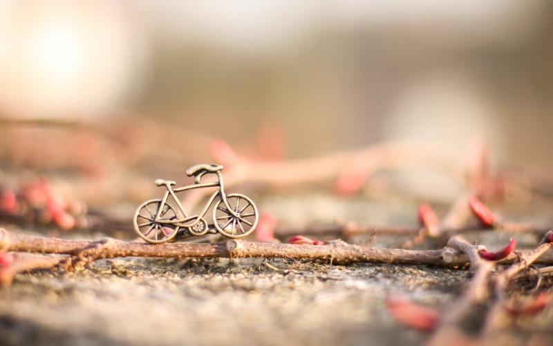 change, plant part, gray, miniature, outdoors, close-up, nature, still life, ring, leaf, 2K, photo, selective focus, toy, emotion, solid, metal, day, love