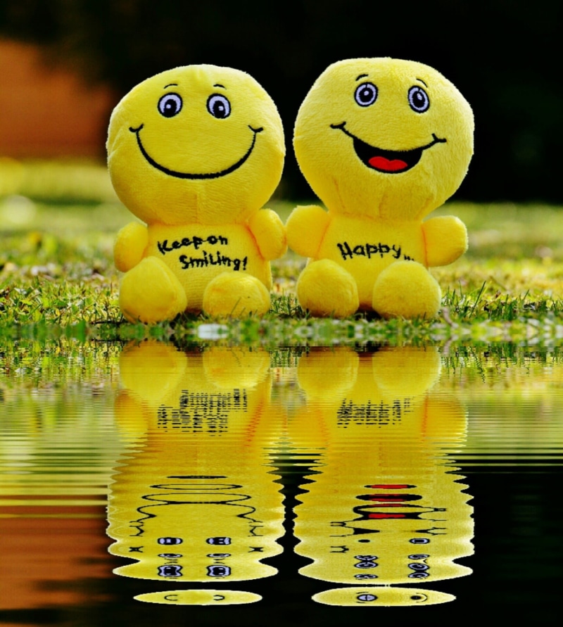 keep smiling, face, emotion, happy, anthropomorphic smiley face, representation, day, laughing face, funny, mirroring, two, plush, frohnatur, anthropomorphic