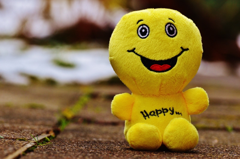 joy of life, bear, courage, sweet, good mood, emoji, laugh, smile, photo, beginning, outdoors, happiness, art and craft, emoticon, toy, close-up, childhood