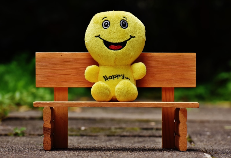 animal representation, 5K, anthropomorphic smiley face, creativity, black background, park bench, anthropomorphic, rest, funny, animal themes, keep smiling