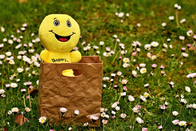 softness, nature, plant, white, land, grass, shopping bag, flowering plant, reduction, handbag, happiness, bargain, sale, plush, day, yellow, smiling, art and craft