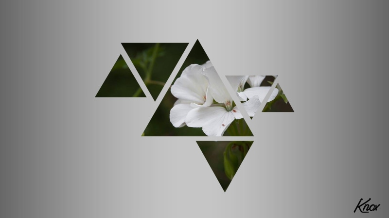nature, distortion, triangle, simple background, 1080P, flowers