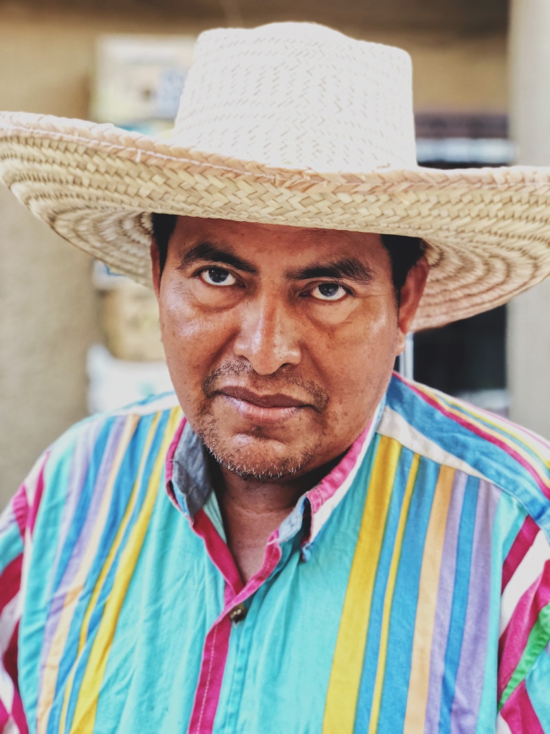 brown, paletero, headshot, sombrero, sun hat, portrait, mexico, wearing, mexican, cabo san lucas, mature adult, real people, brick, mid adult, person, man