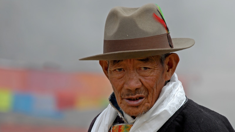fedora, one person, hat, headshot, cowboy hat, portrait, man, adult, eyebrow, brown, clothing, looking, human face, lifestyles, people, close-up, looking at camera