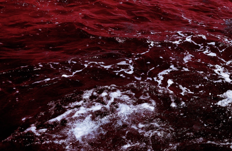 guangzhou shi, textured, nature, bordeaux, s 303 hua nan kuai su fu lu, rock - object, ocean foam, drown, no people, solid, claret, burgundy, backgrounds