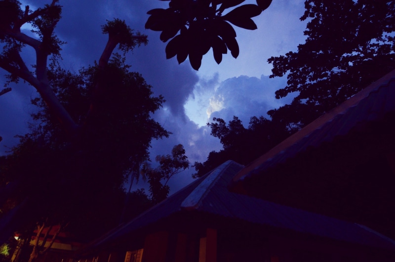 beauty in nature, s 303 hua nan kuai su fu lu, blue, building exterior, outdoors, dusk, sky, house, architecture, plant, low angle view, china, no people