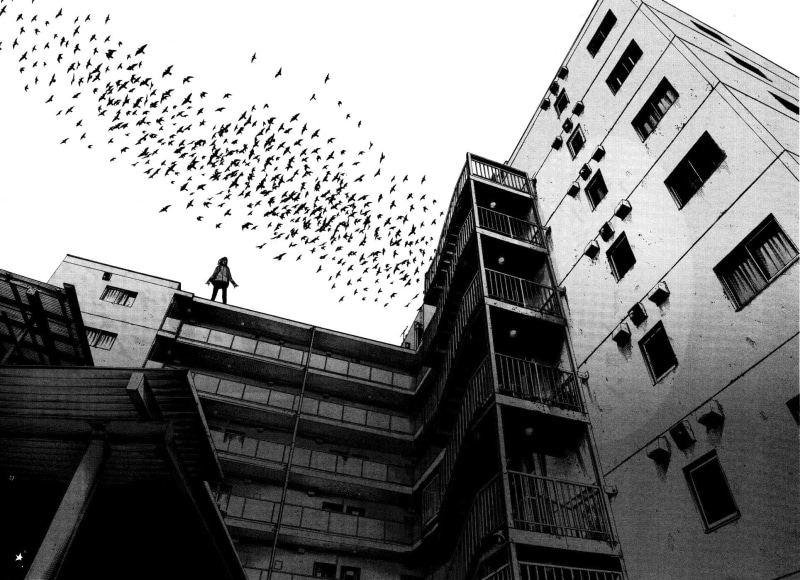 Flock Of Birds, Building, Anime, 1080P, Goodnight Punpun