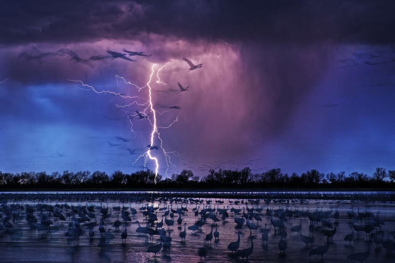 power in nature, forked lightning, dusk, thunderstorm, purple, night, 1080P, storm cloud, beauty in nature, power, Randy Olson, flock, clouds, warning sign