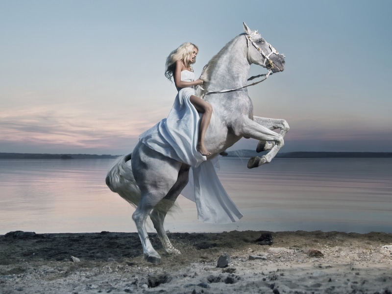 domestic animals, recreational Horseback Riding, animal wildlife, beach, water, white Horse, mammal, white, real people, women, animals And Pets, domestic